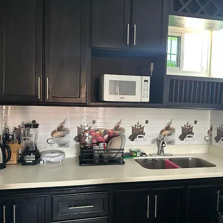 Remarkable 1-Bed Apartment In Montego Bay